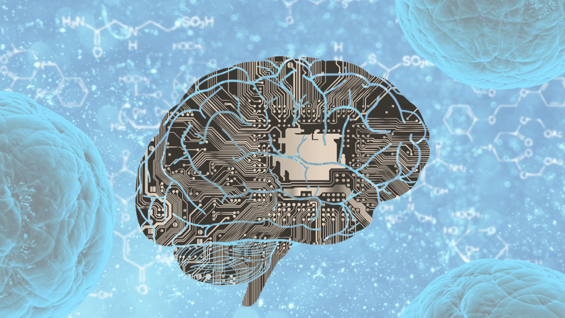 Quantmetry.com : Le Deep Learning pour accélérer le diagnostic par imagerie médicale